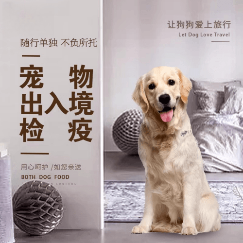 黔西南州宠物托运到哥伦比亚猫狗宠物入境规定和