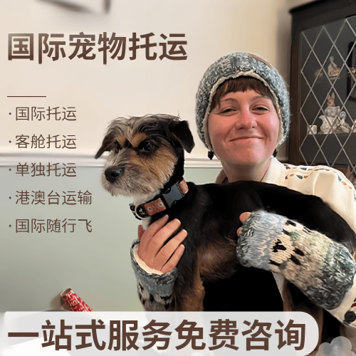 黔西南州国际宠物托运到阿根廷宠物入境规定和要