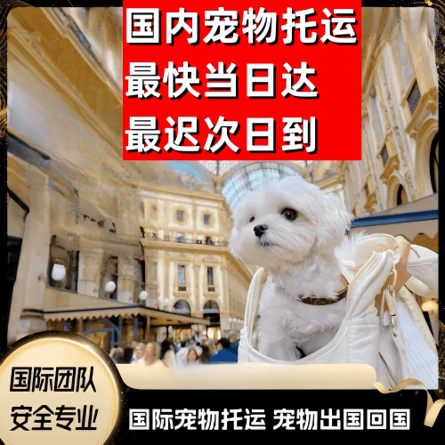 黔西南州到澳大利亚（澳洲）宠物入境规定和要求