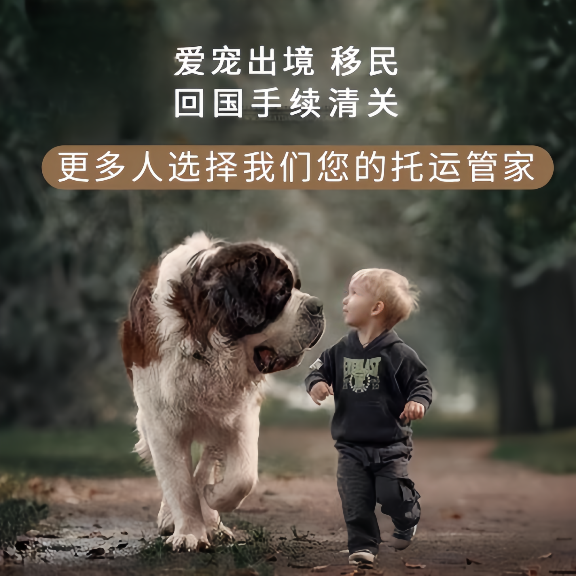 满财黔西南州宠物全球达宠物托运在遵守入境目的地政策的条件