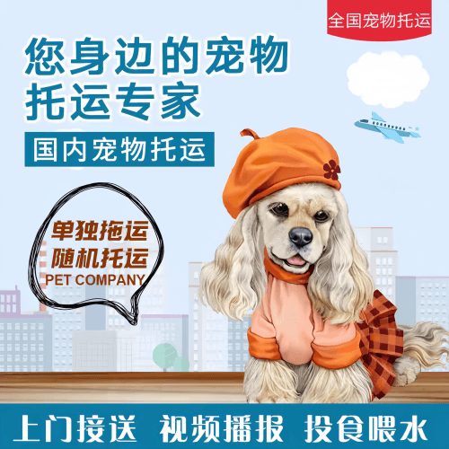 满财黔西南州宠物全球达宠物托运作为专业的宠物运输代理机构